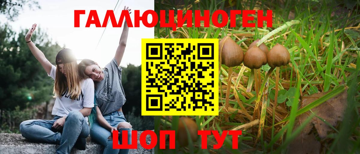 Псилоцибиновые грибы мицелий  Галлюциногенные грибы GOLDEN TEACHER  Урюпинск  Вход с VPN 